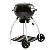 BBQ & grilling
